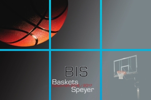Bis-2016.jpg