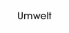 Umwelt